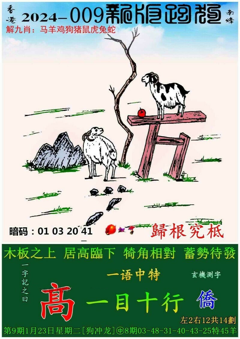 投资向阳花 第5页