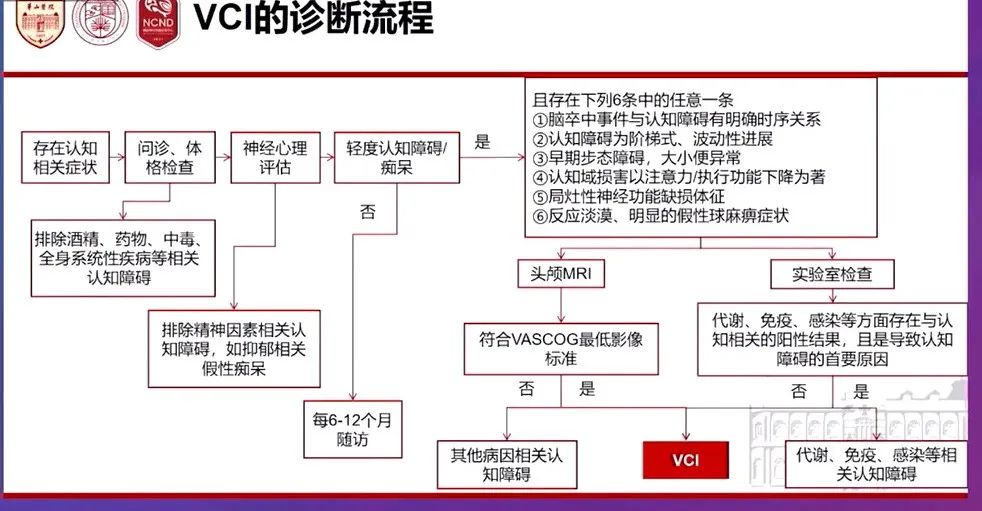 2024新澳历史开奖记录香港开,精细解答解释定义_特别集20.705