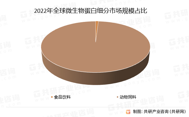 新澳王中王资料大全，深度解析与探索