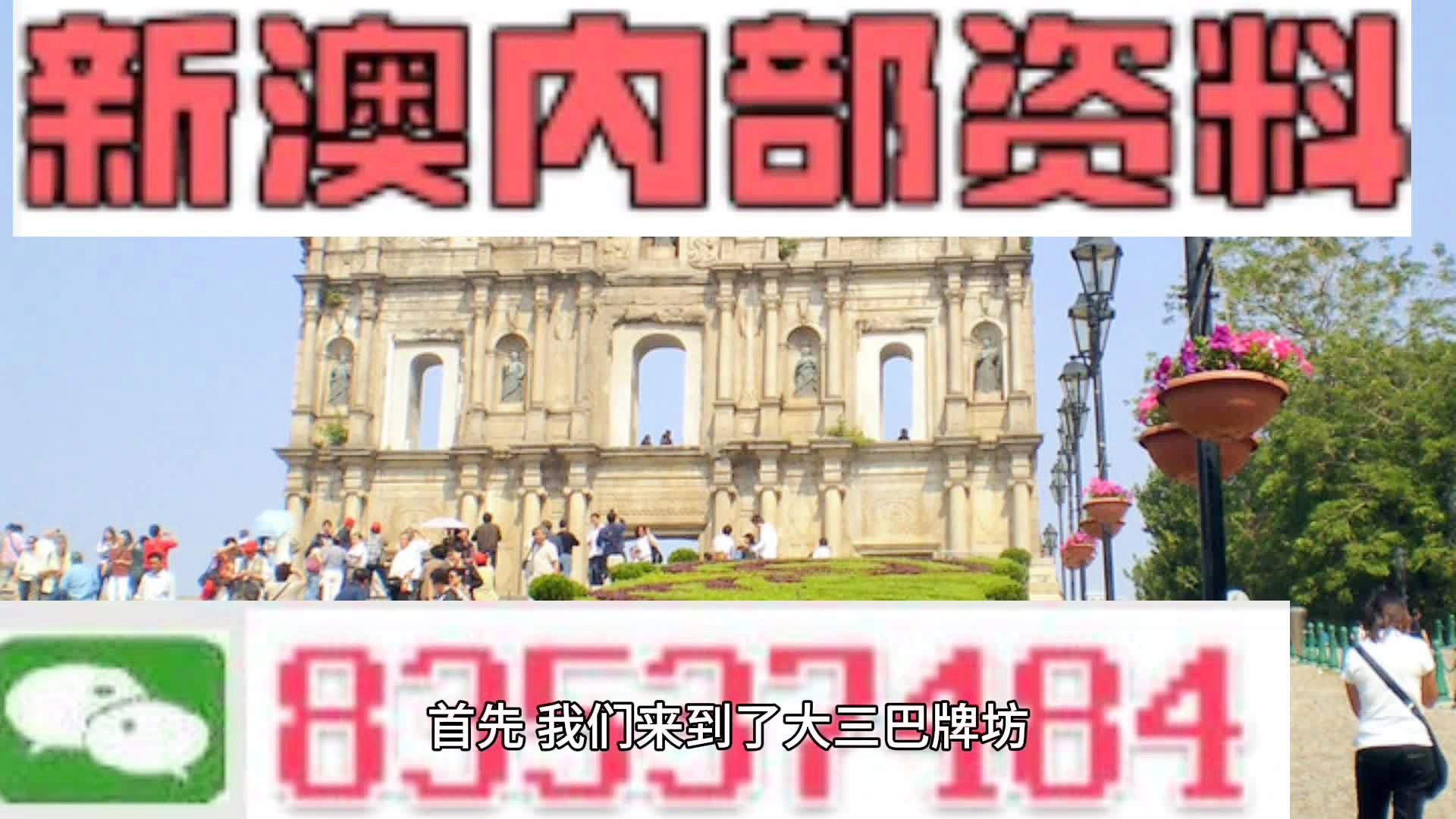 新澳门全年资料内部公开,全面分析解答解释现象_策略版66.005