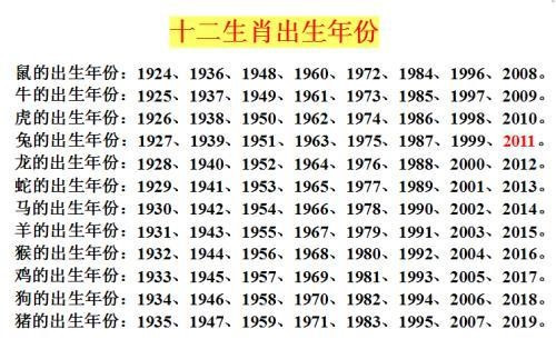 2024十二生肖49码表,平衡解答解释落实_媒体品5.029