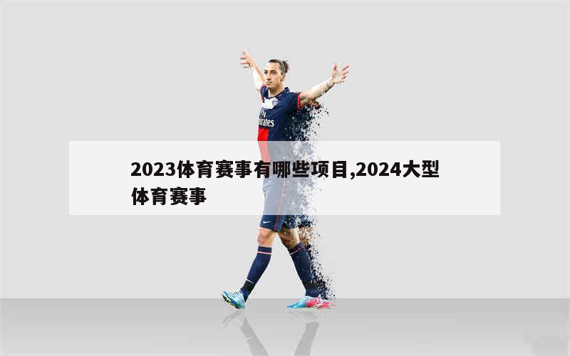 2024年正版资料免费大全功能介绍,细致讲解解答解释执行_体育集20.238