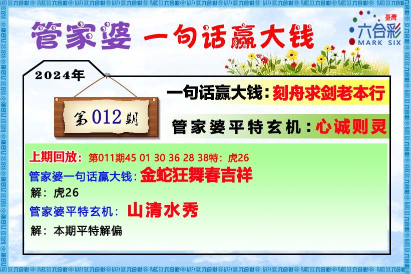 管家婆的资料一肖中特7,专业指导解答解释手册_战略型60.462